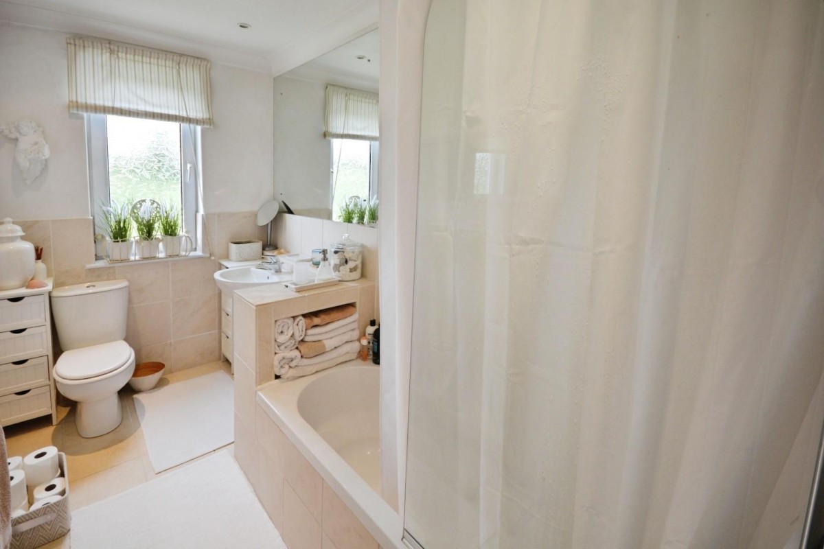 California, Witton Park, Bishop Auckland