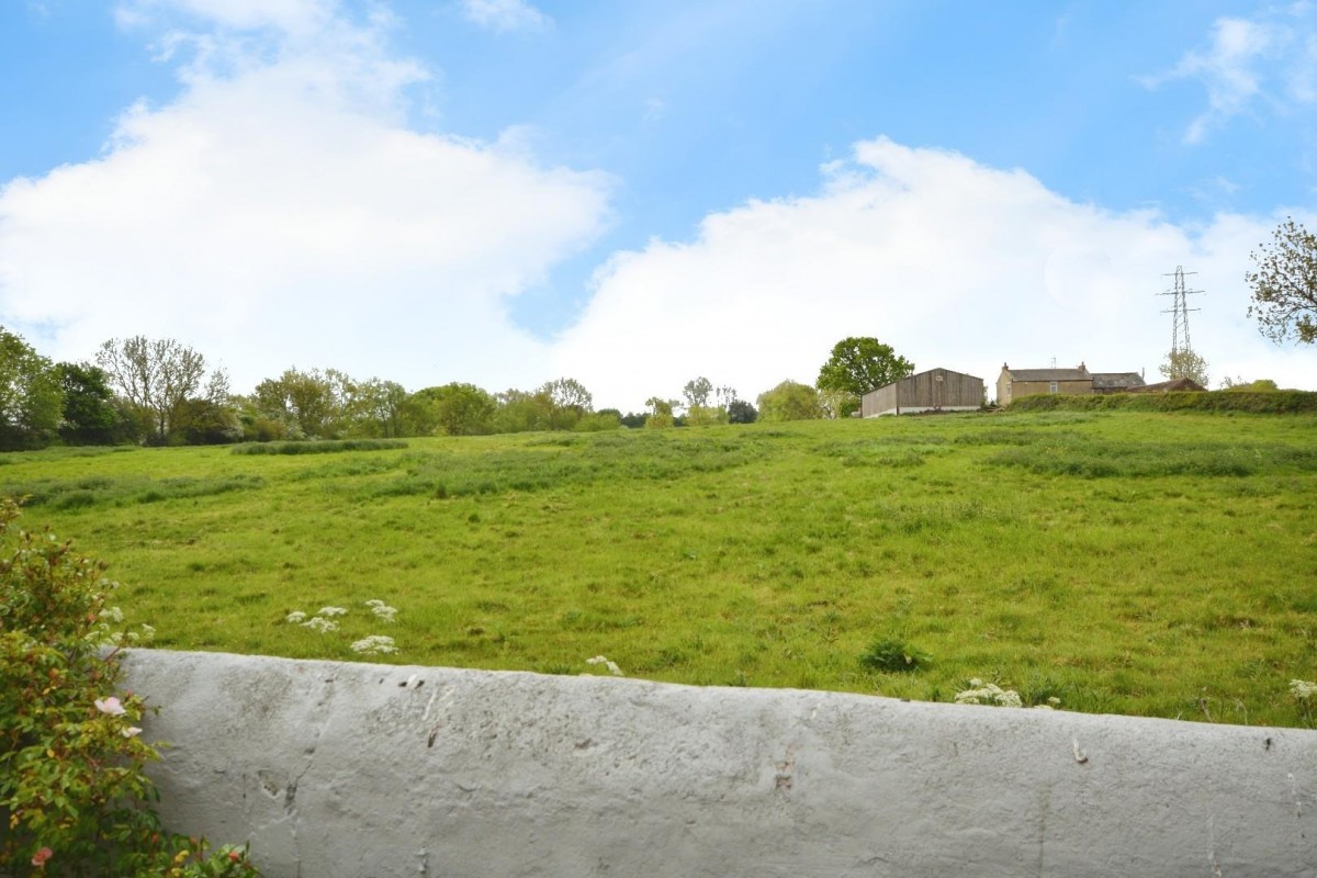 California, Witton Park, Bishop Auckland