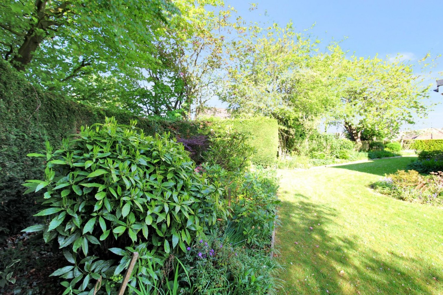 Red Hills Road, Ripon