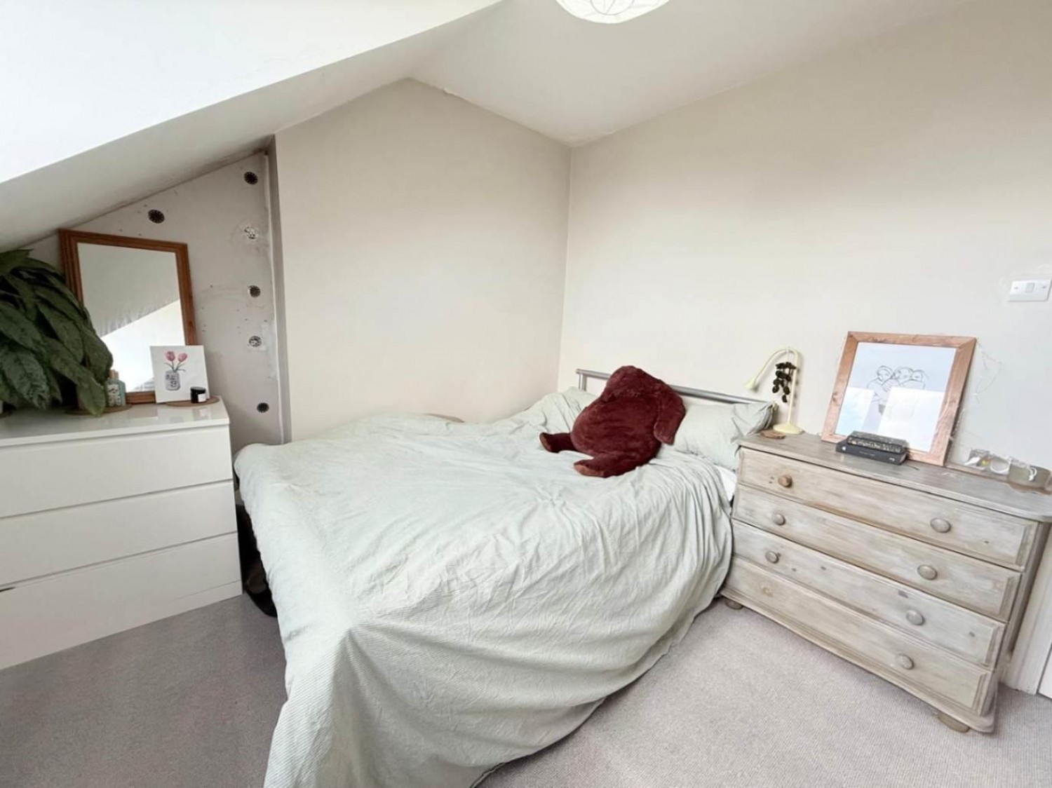 Hoole Street, Walkley, Sheffield , S6 2WS