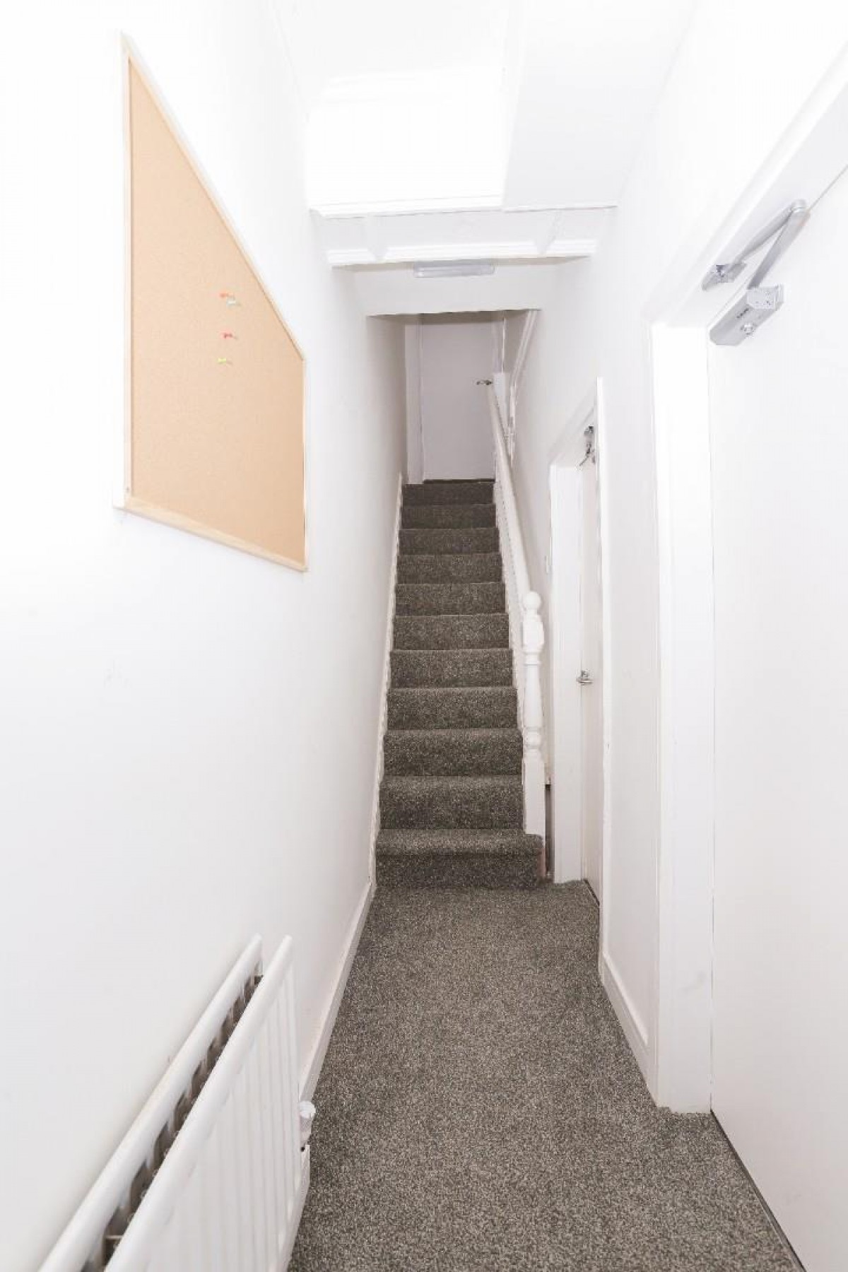 Athol Street, Middlesbrough