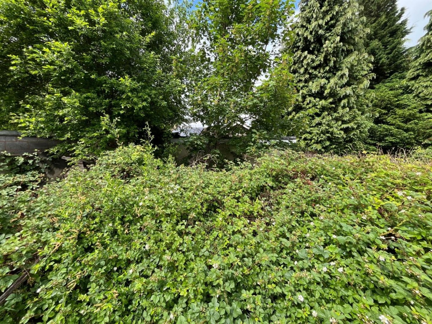 Turfpits Lane, Erdington