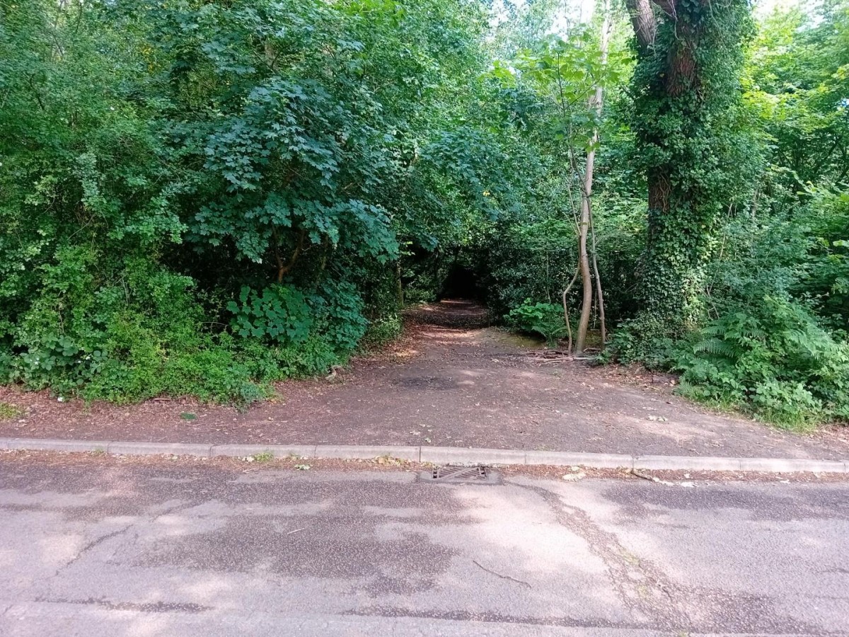 Camellia Way, Wokingham