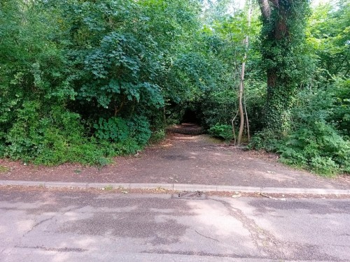 Camellia Way, Wokingham