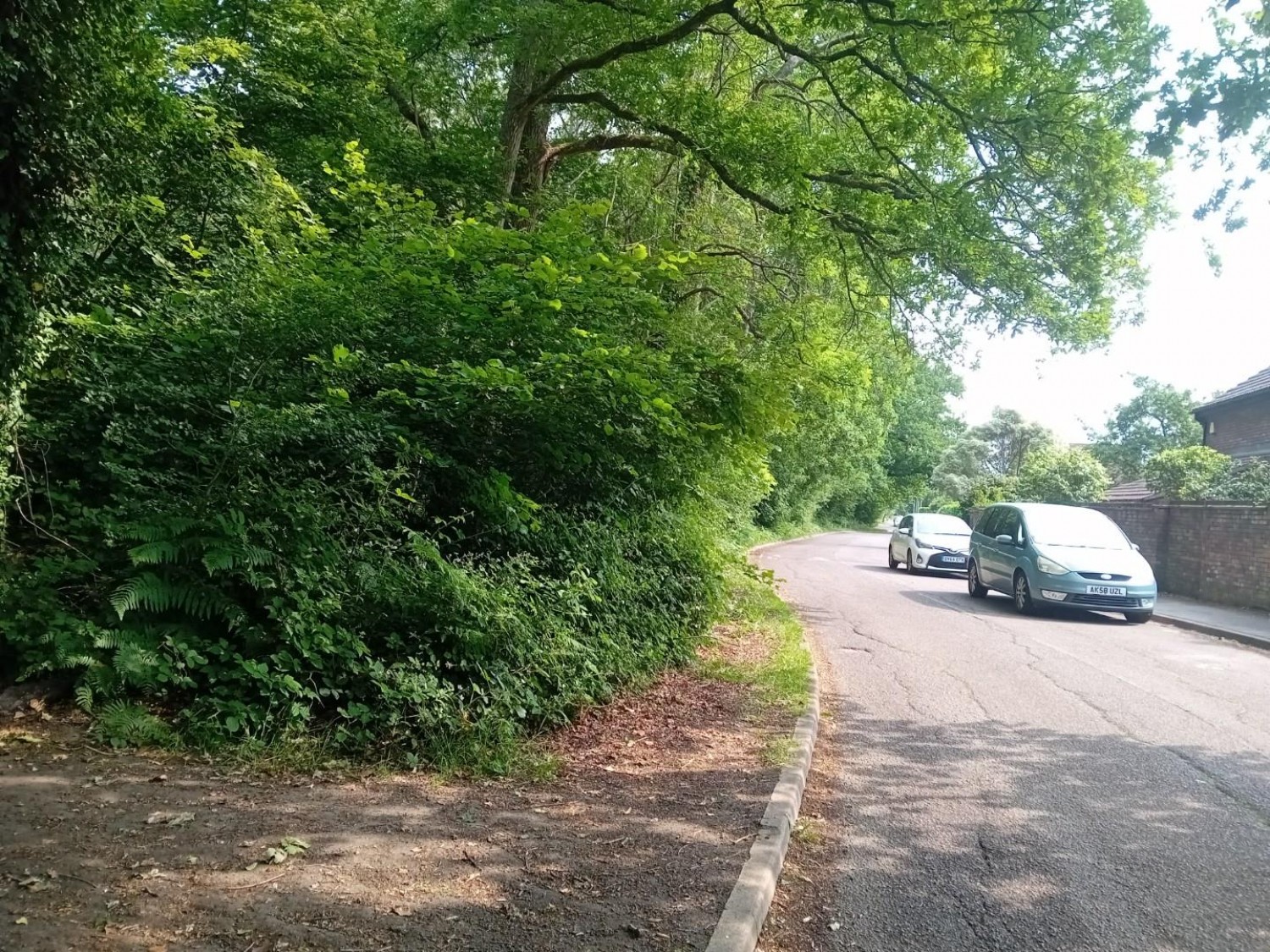 Camellia Way, Wokingham