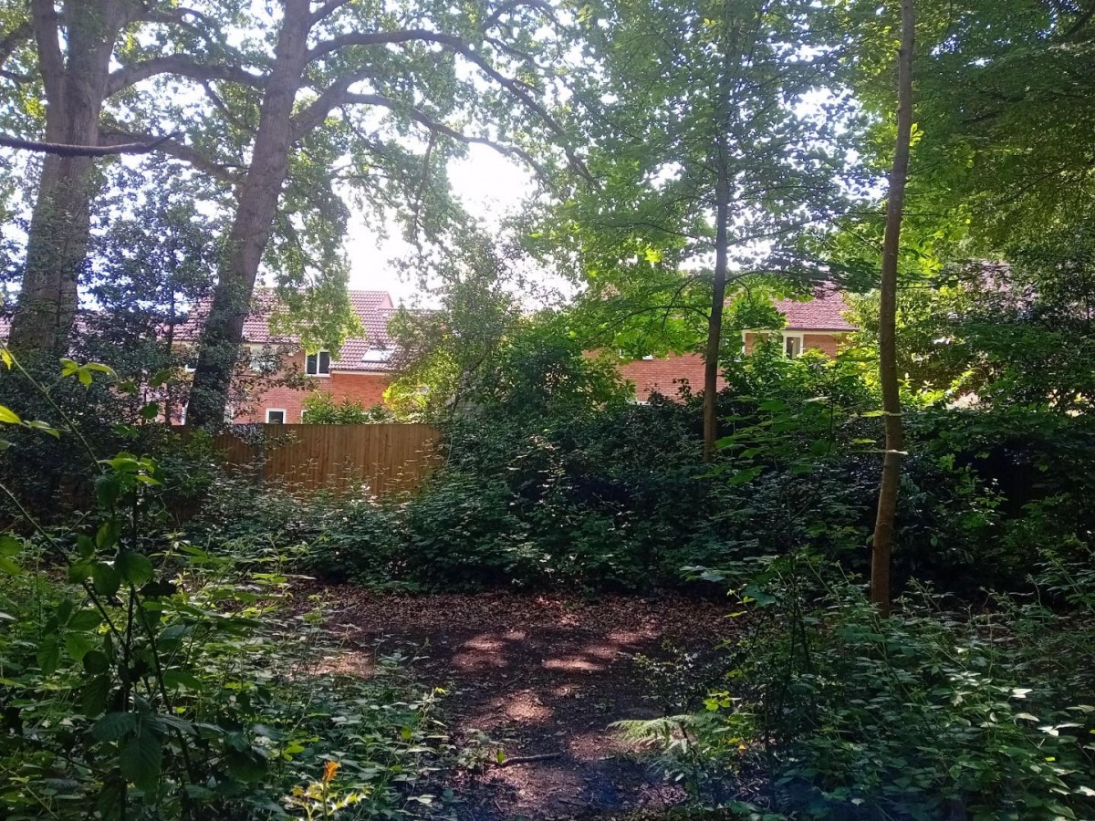 Camellia Way, Wokingham