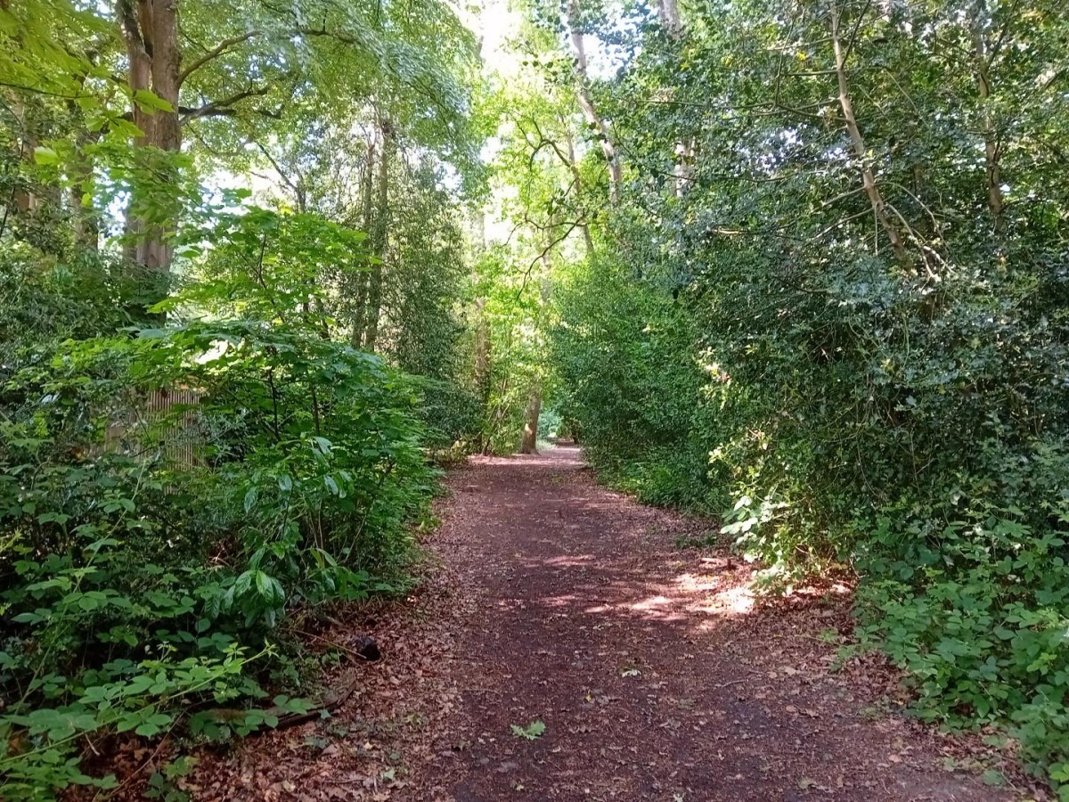 Camellia Way, Wokingham