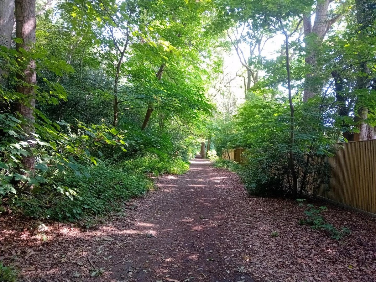 Camellia Way, Wokingham