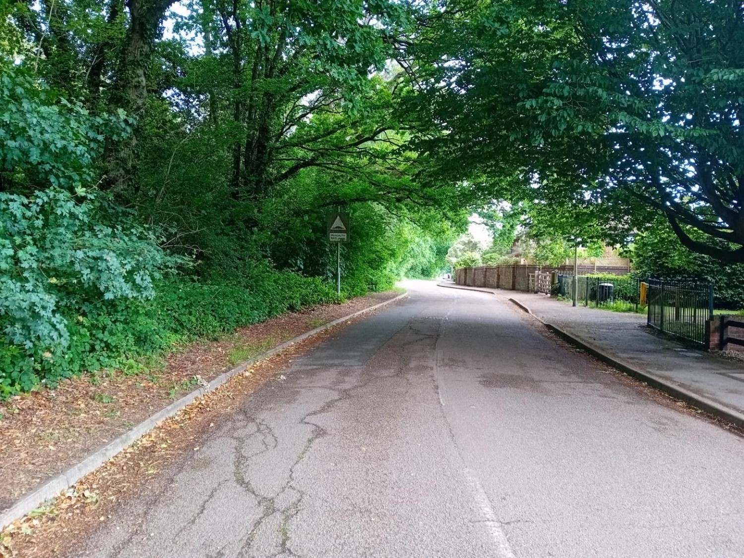 Camellia Way, Wokingham