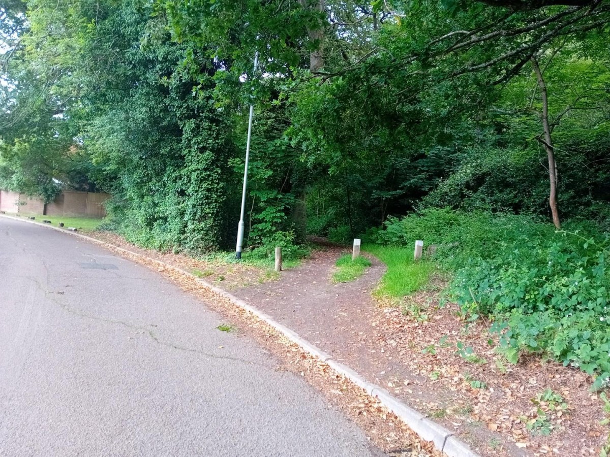 Camellia Way, Wokingham