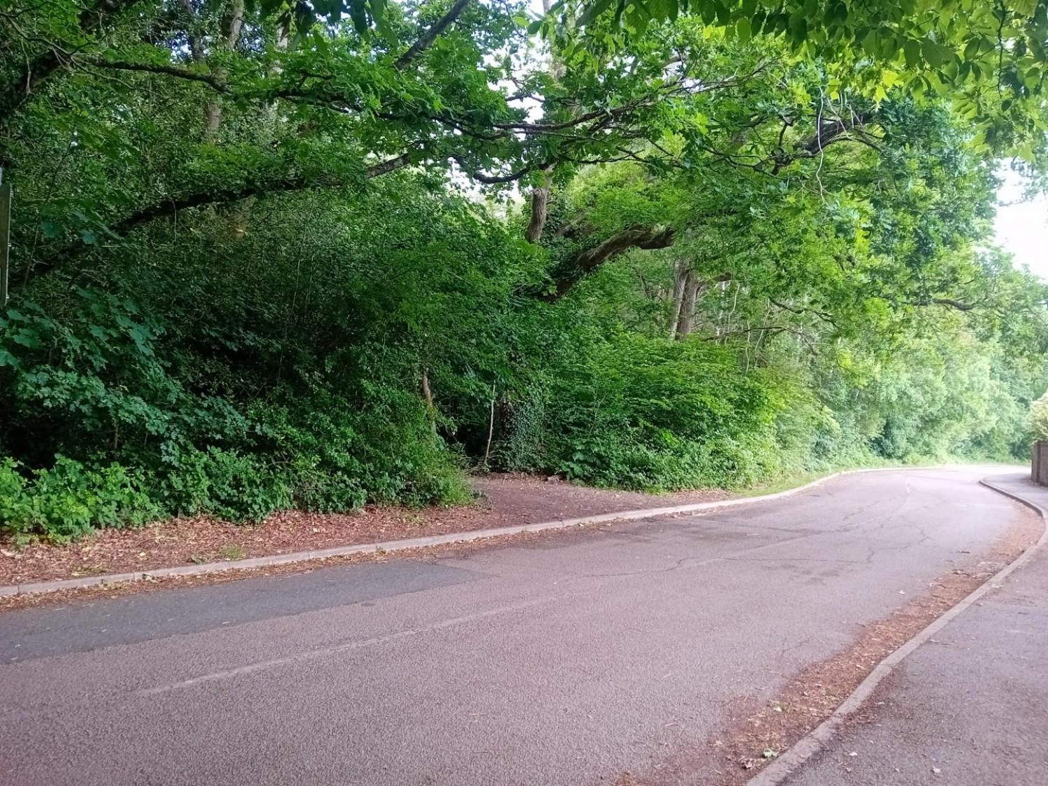 Camellia Way, Wokingham