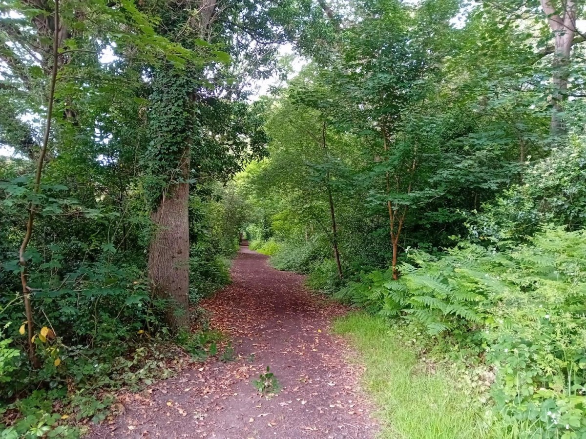 Camellia Way, Wokingham