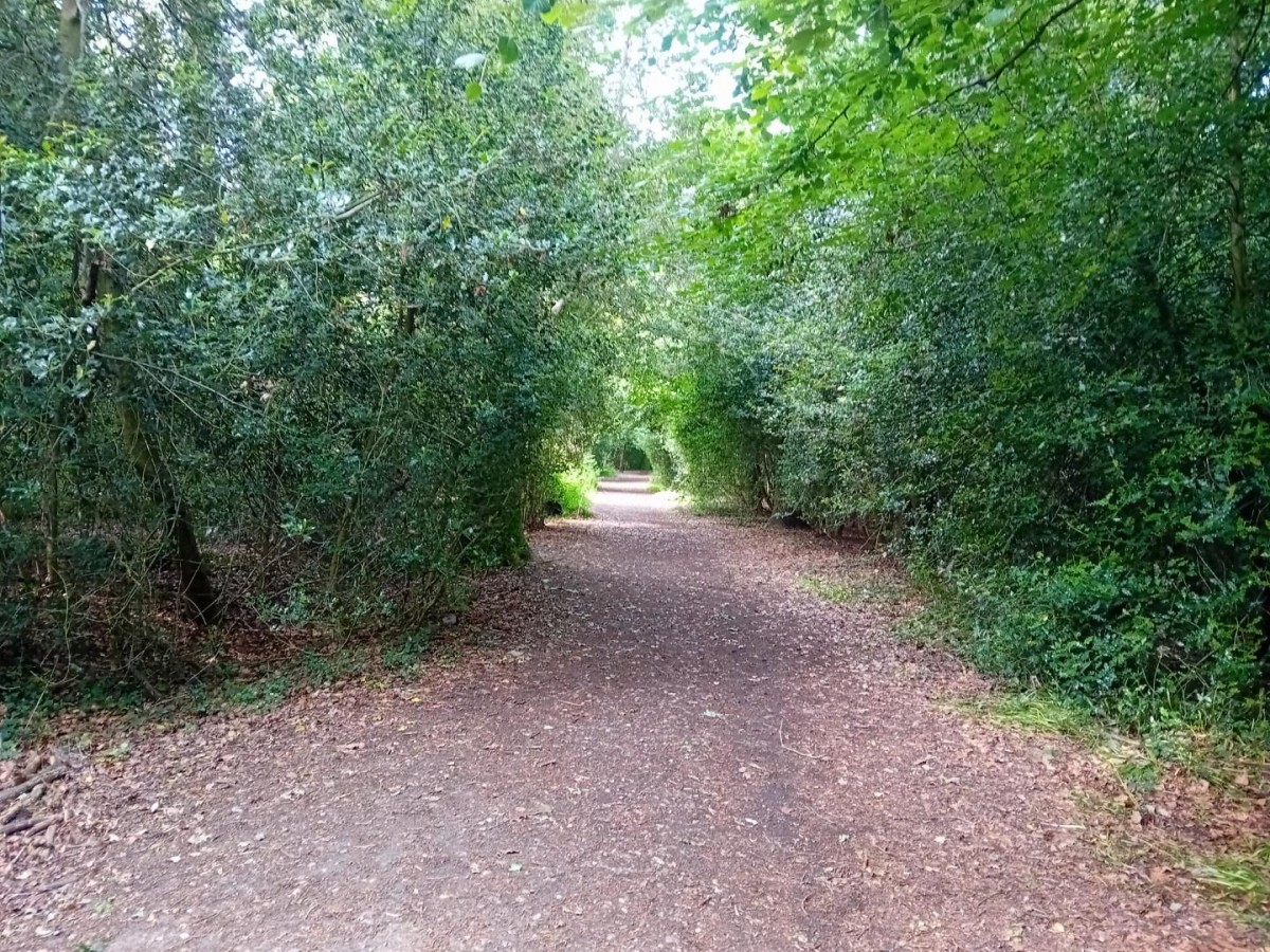 Camellia Way, Wokingham