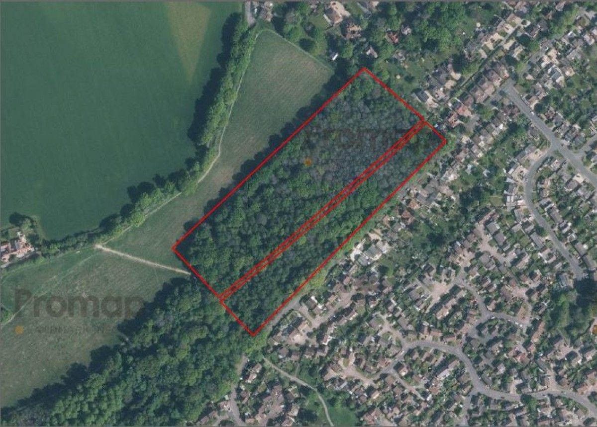 Camellia Way, Wokingham