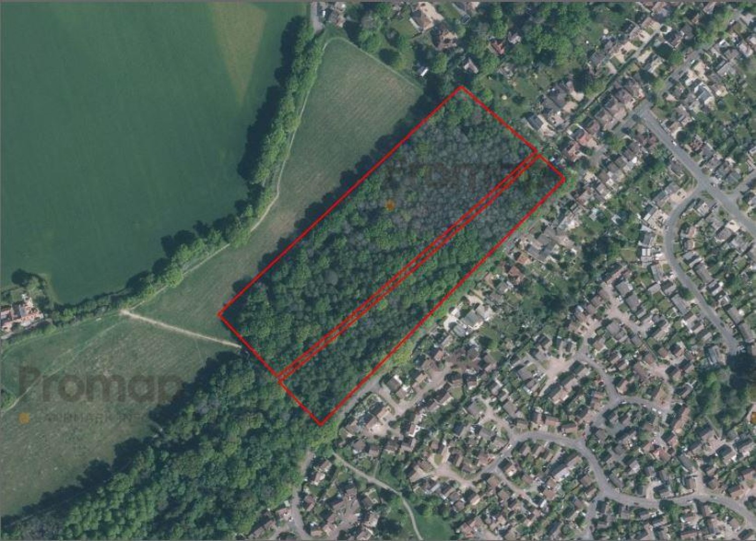 Camellia Way, Wokingham