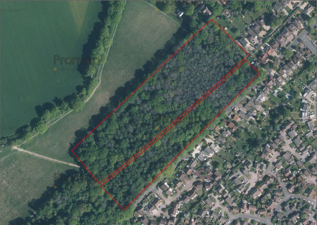 Camellia Way, Wokingham