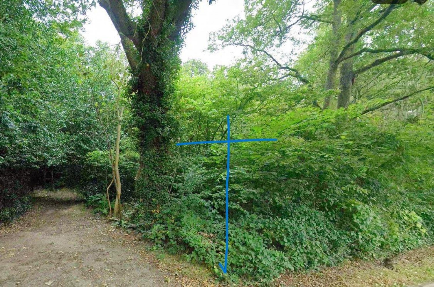 Camellia Way, Wokingham