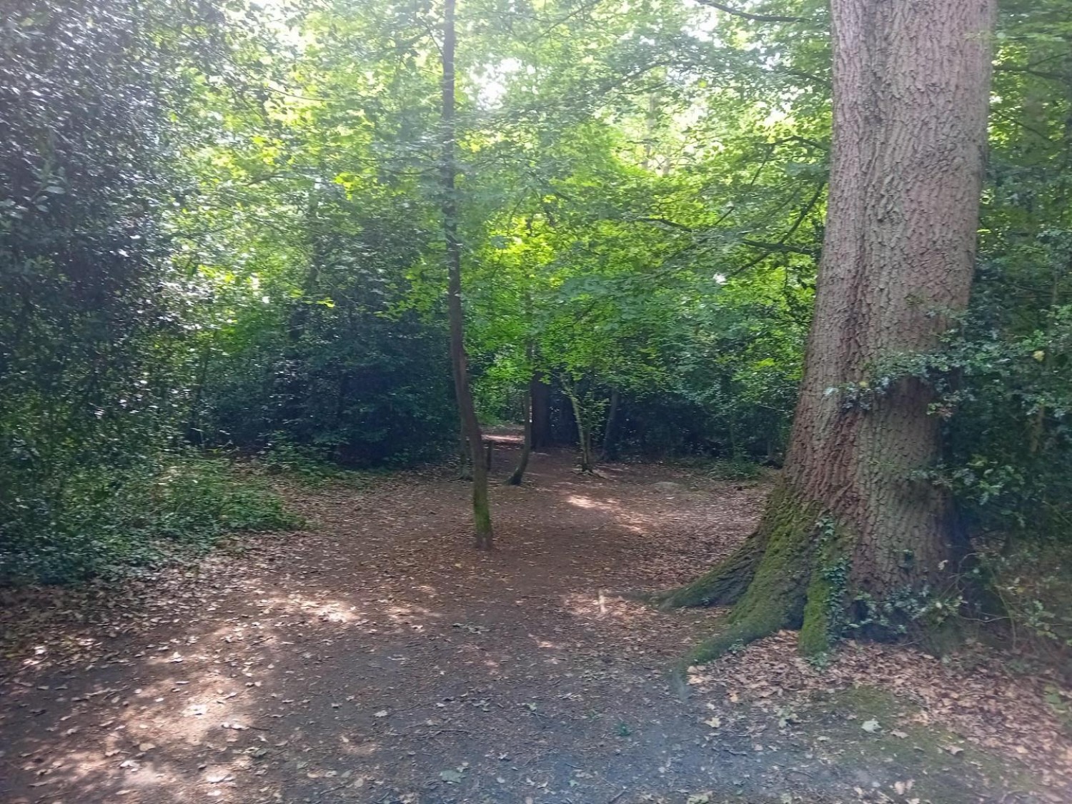 Camellia Way, Wokingham