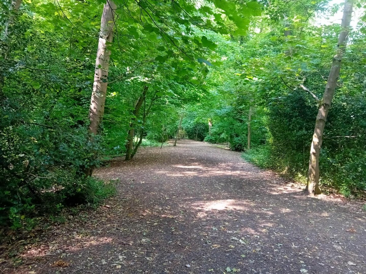 Camellia Way, Wokingham