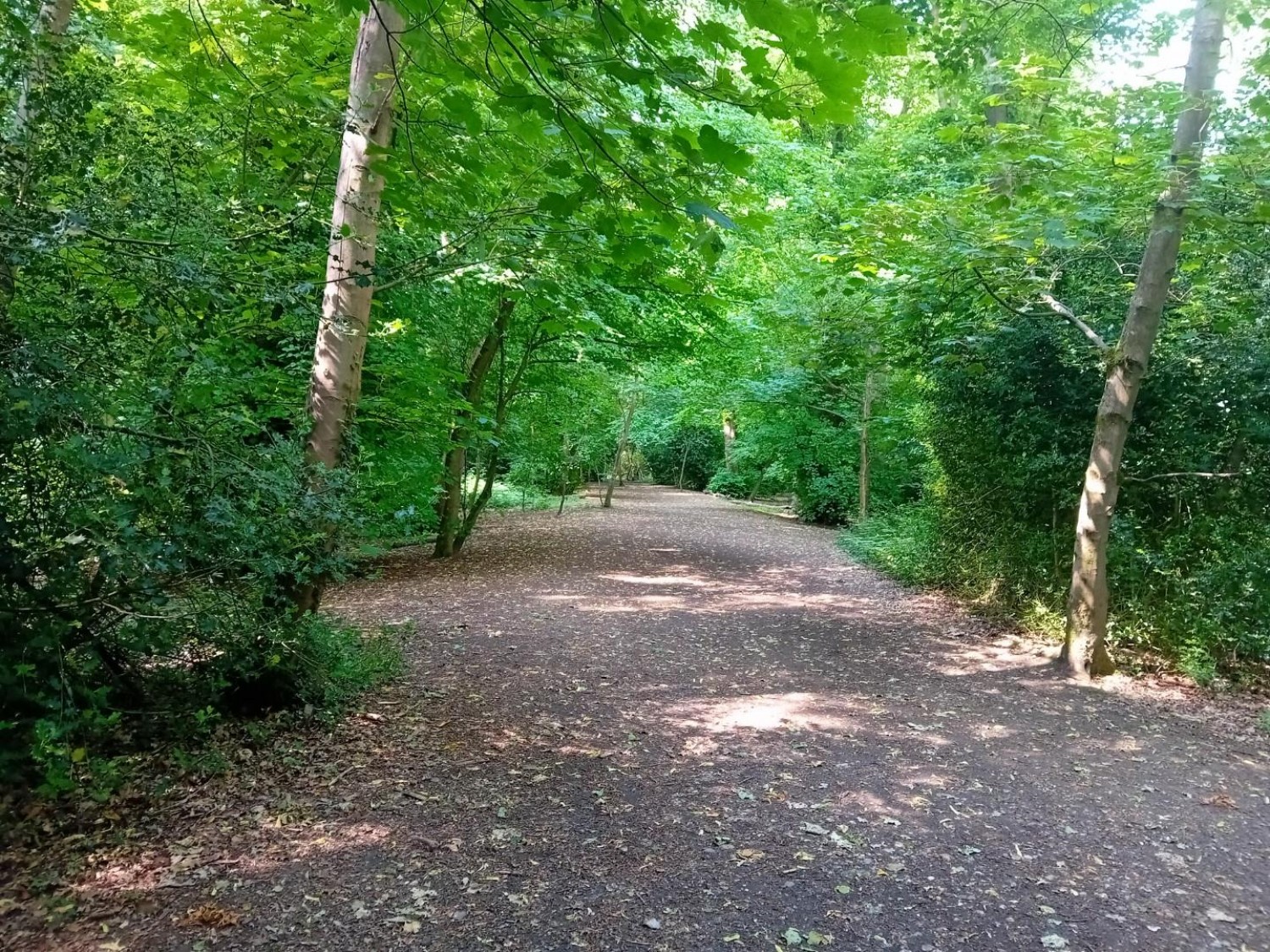 Camellia Way, Wokingham