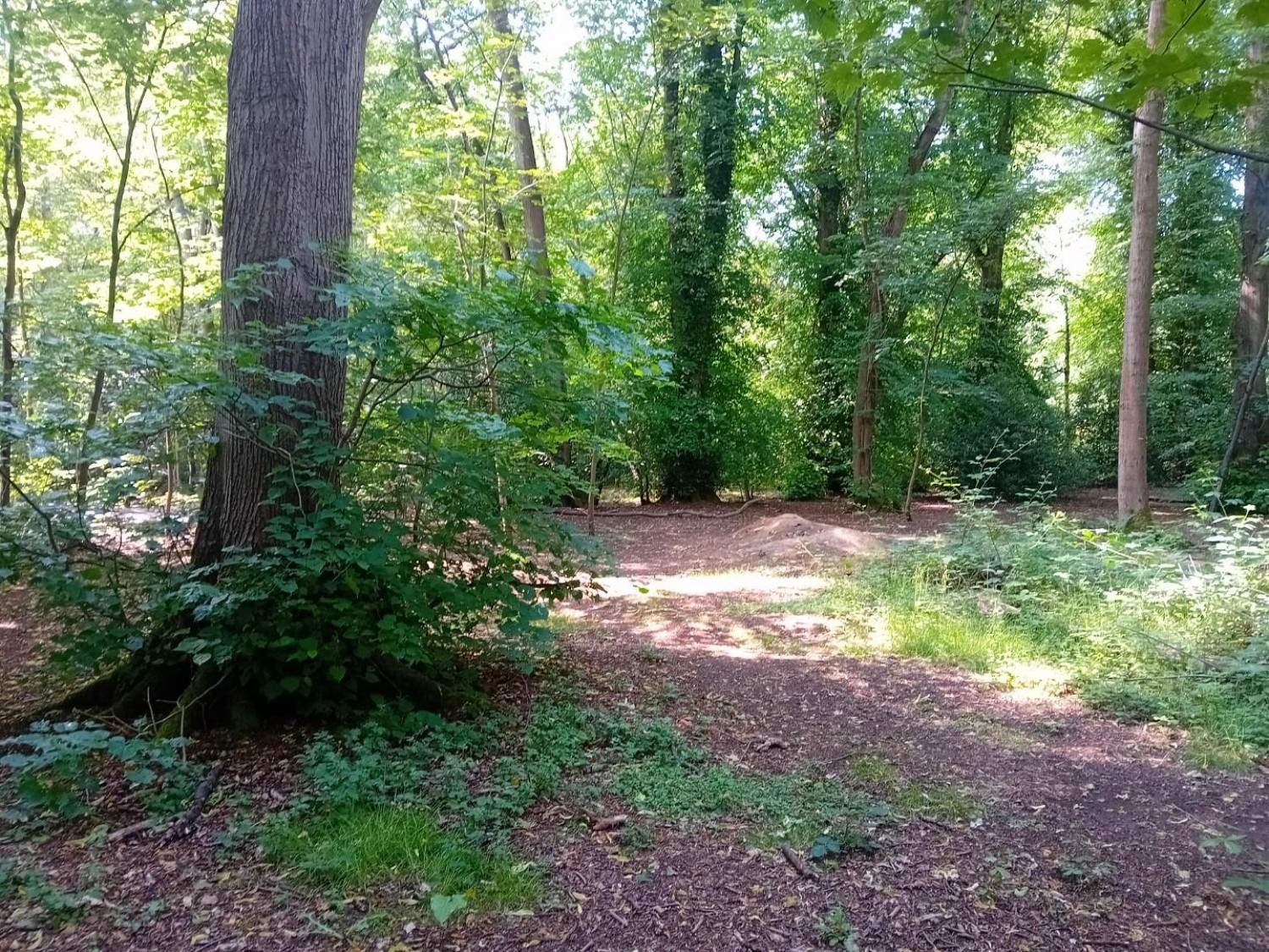 Camellia Way, Wokingham