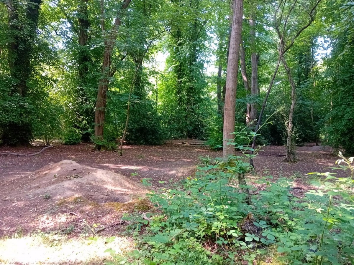 Camellia Way, Wokingham