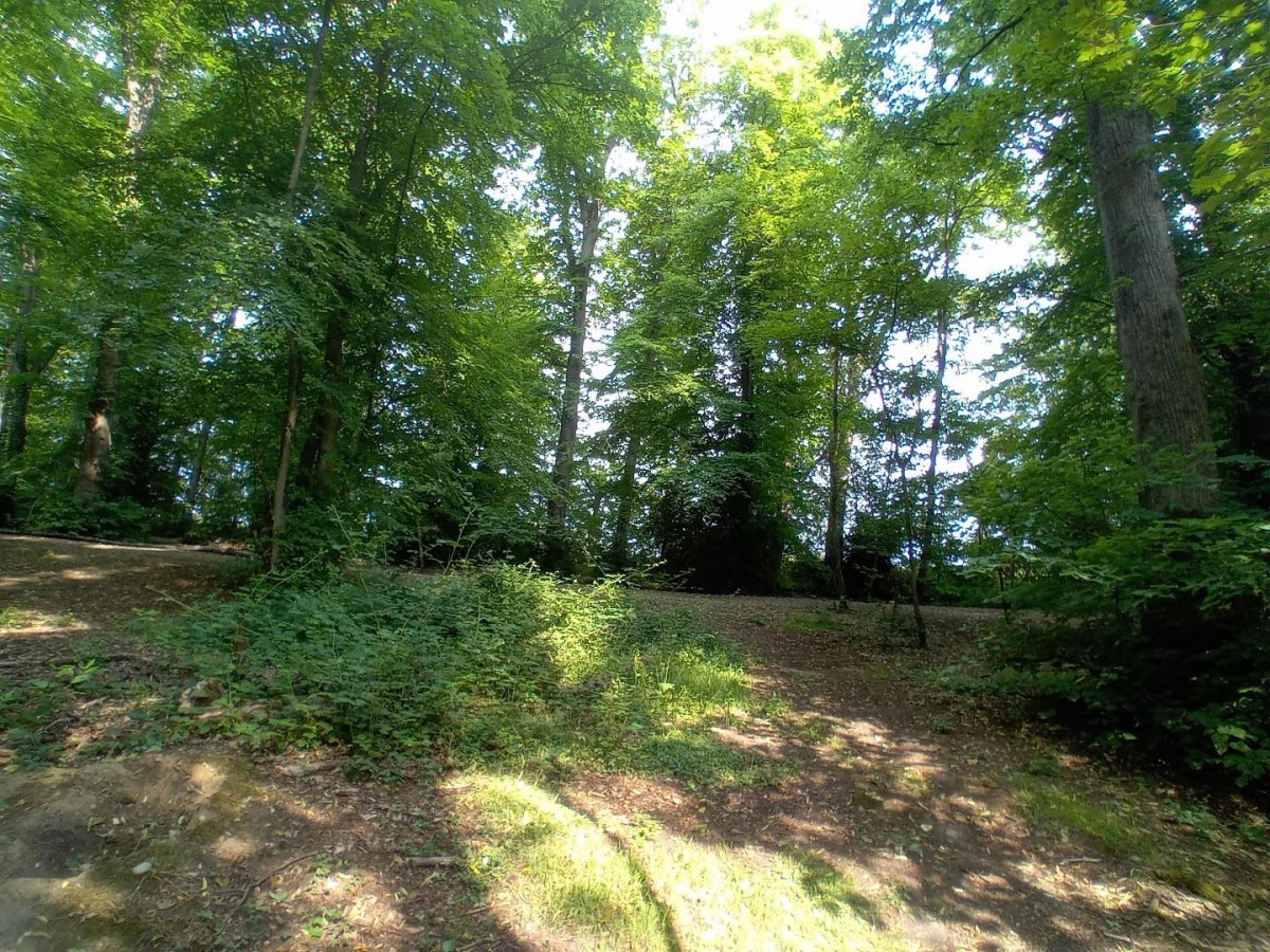 Camellia Way, Wokingham