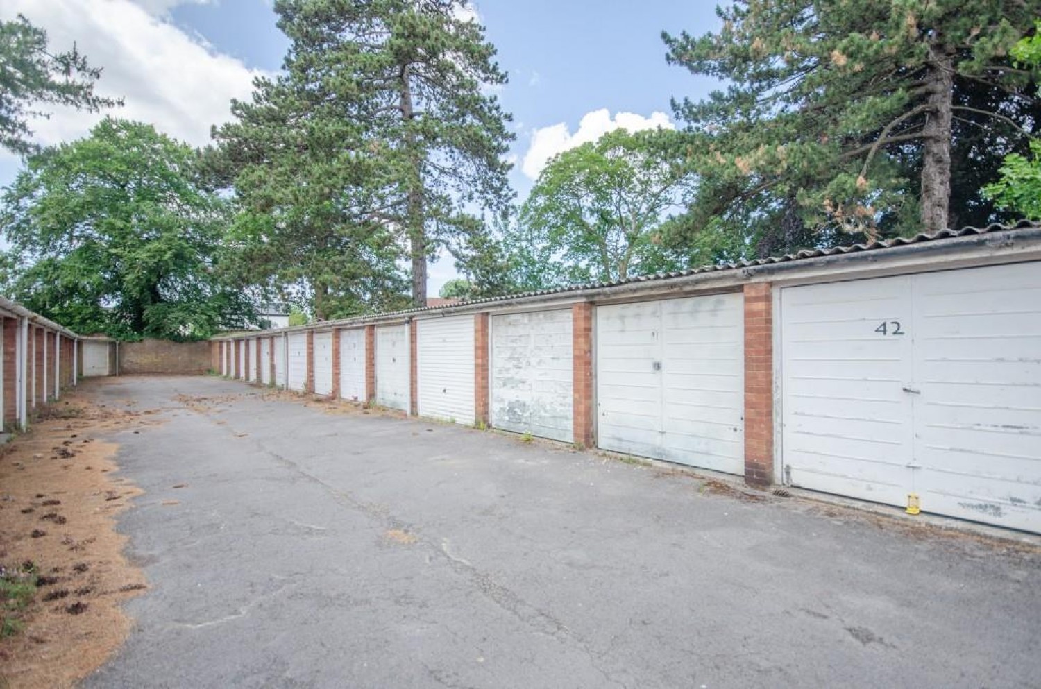 The Willows, Marlborough Drive, Frenchay, Bristol, BS16 5JT