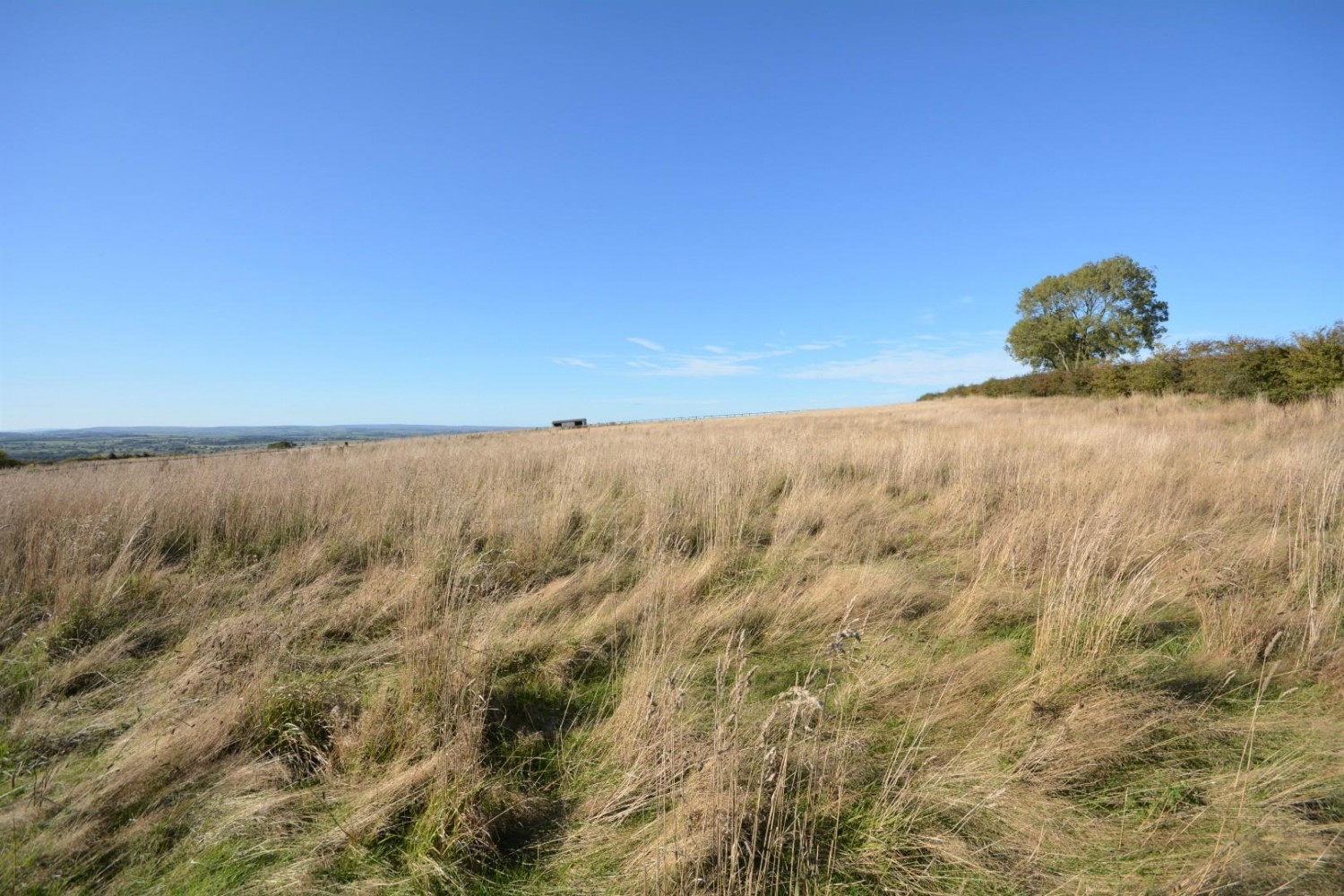 Bildershaw, West Auckland, Bishop Auckland