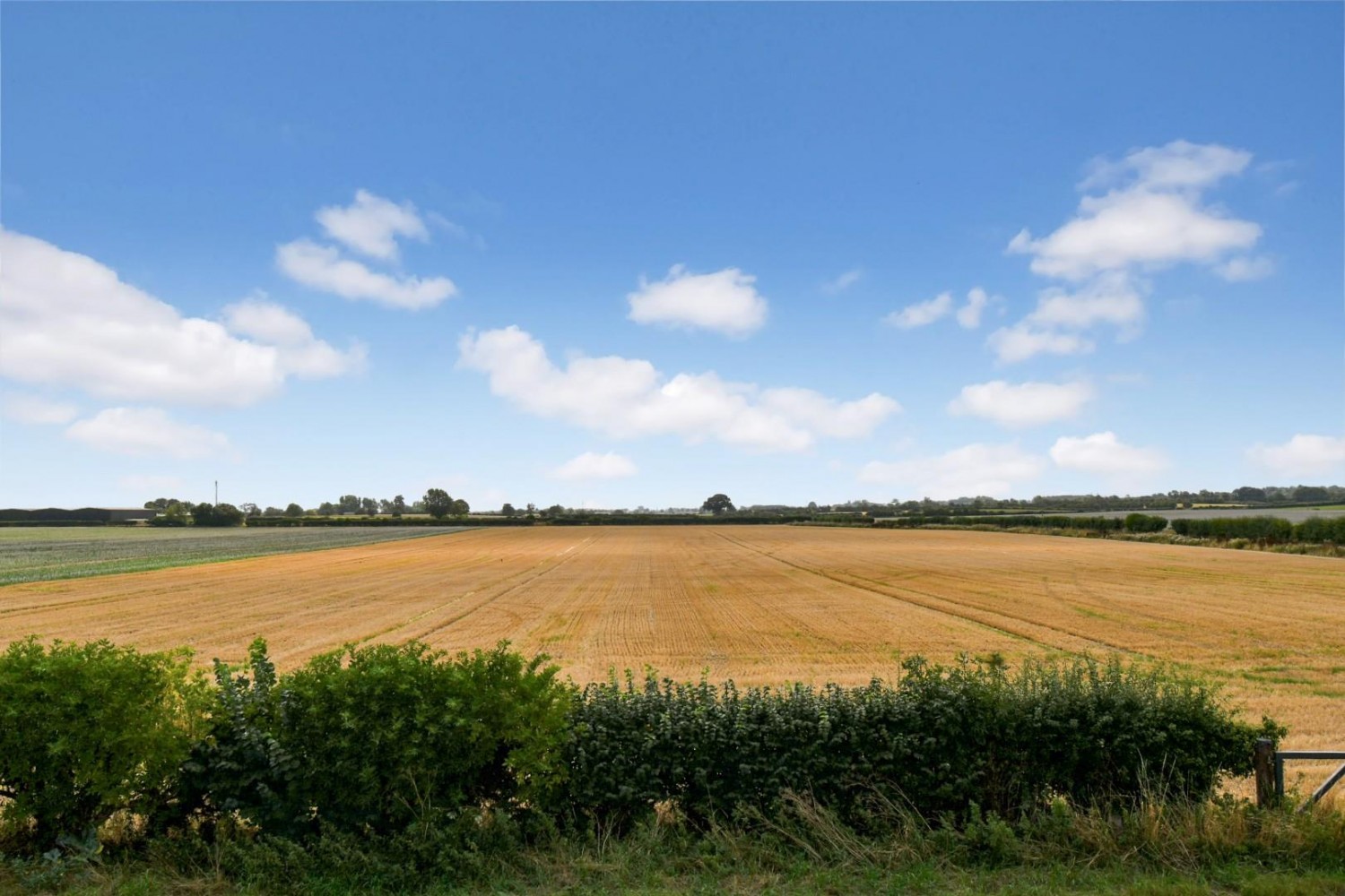 Burneston, Bedale