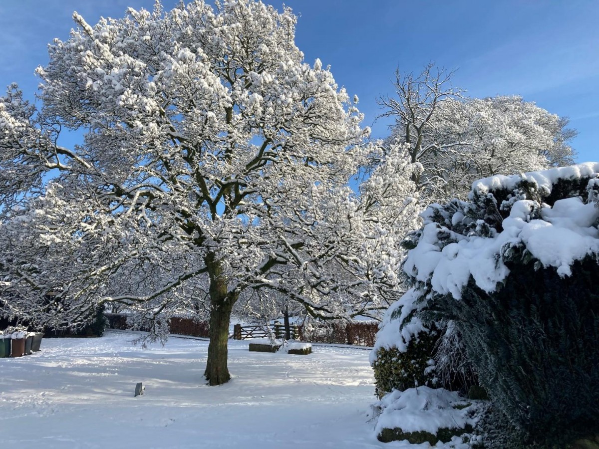 Carlton Lane, Guiseley, Leeds