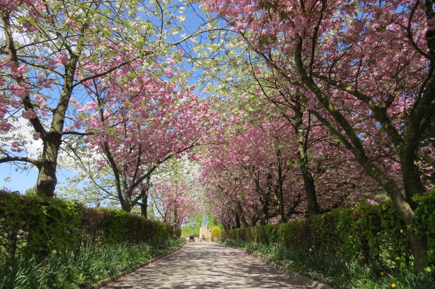 Carlton Lane, Guiseley, Leeds