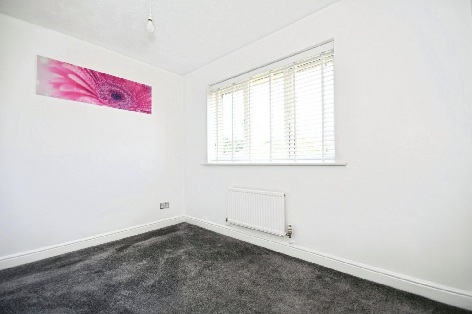 Standish Gardens, Shirecliffe, S5