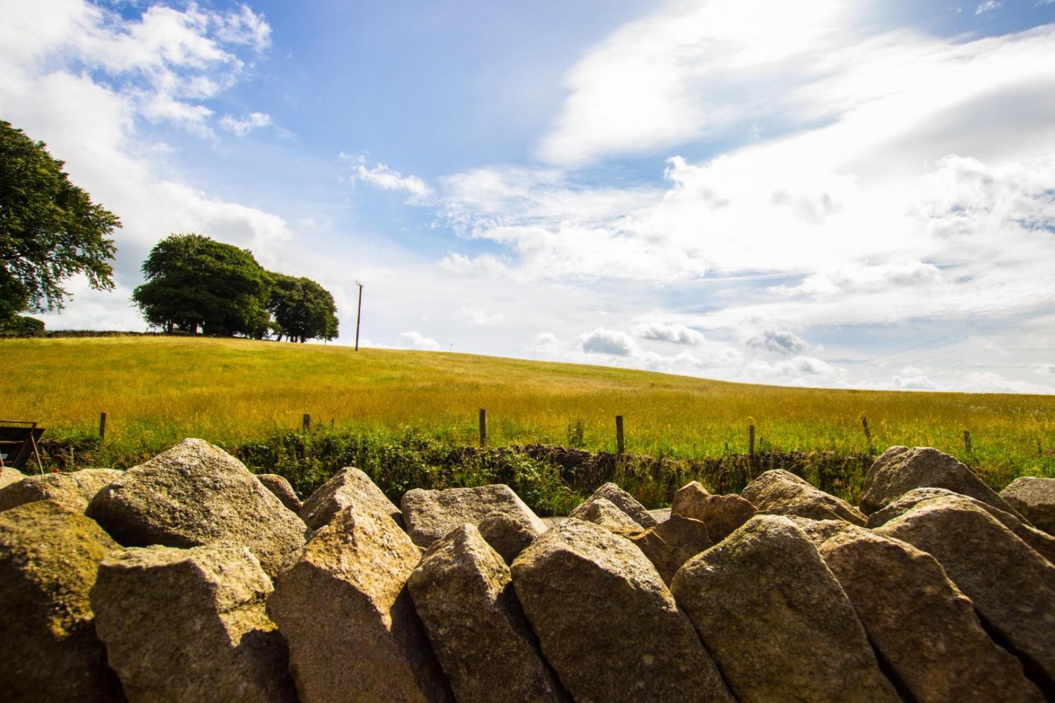 Gib Lane, Feniscowles