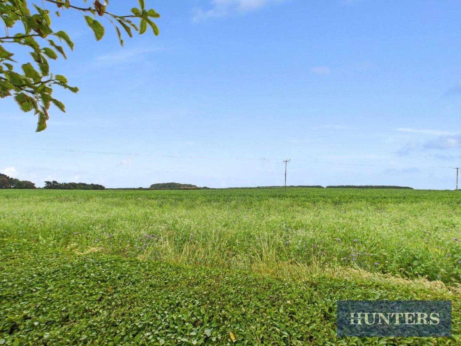 Bempton Lane, Flamborough, Bridlington