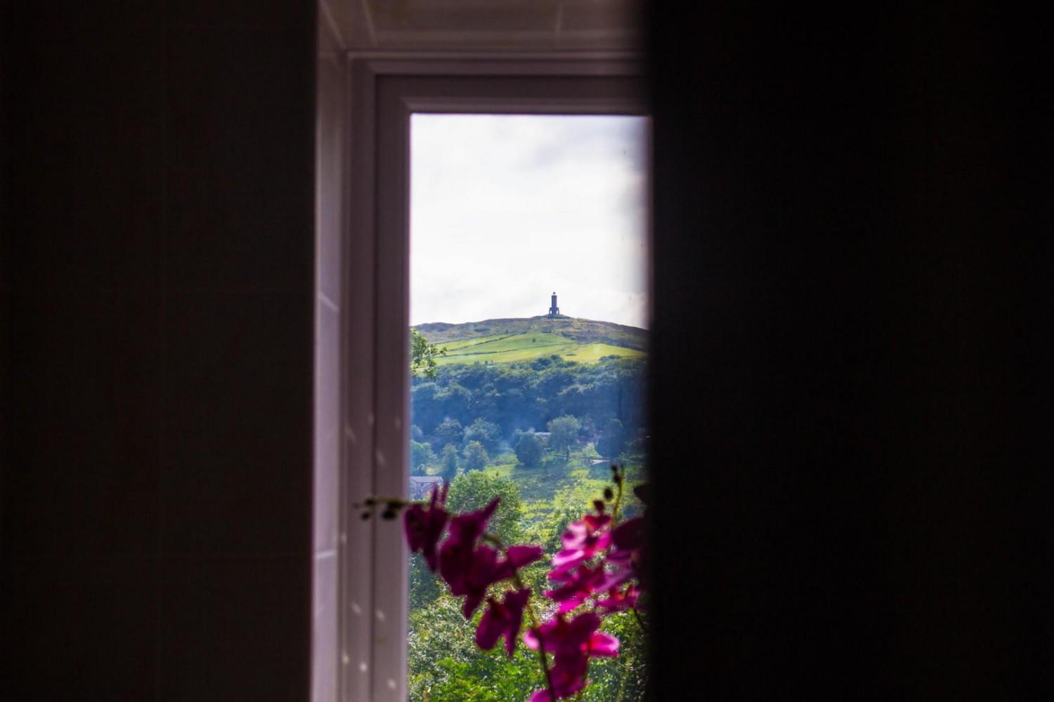Plane Tree Cottage, Darwen