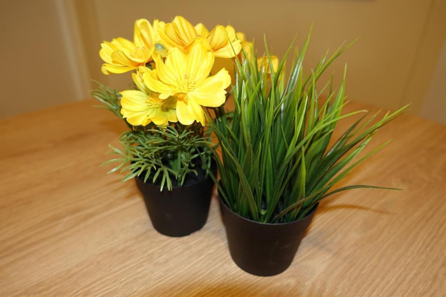 Linthorpe Road, Middlesbrough, , TS5 6HA