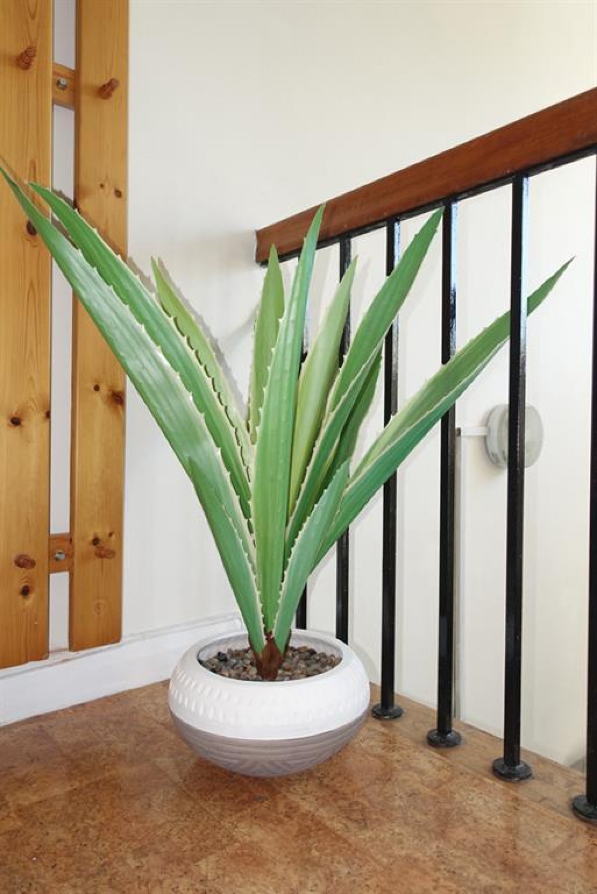 Linthorpe Road, Middlesbrough, , TS5 6HA