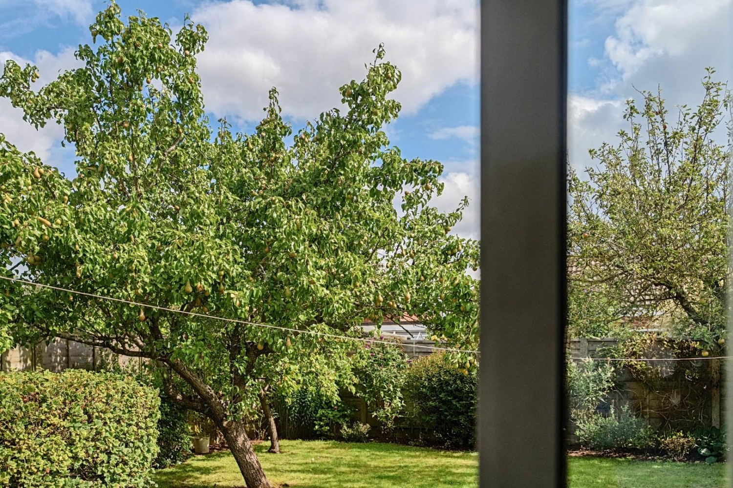 Willow Rise, Tadcaster