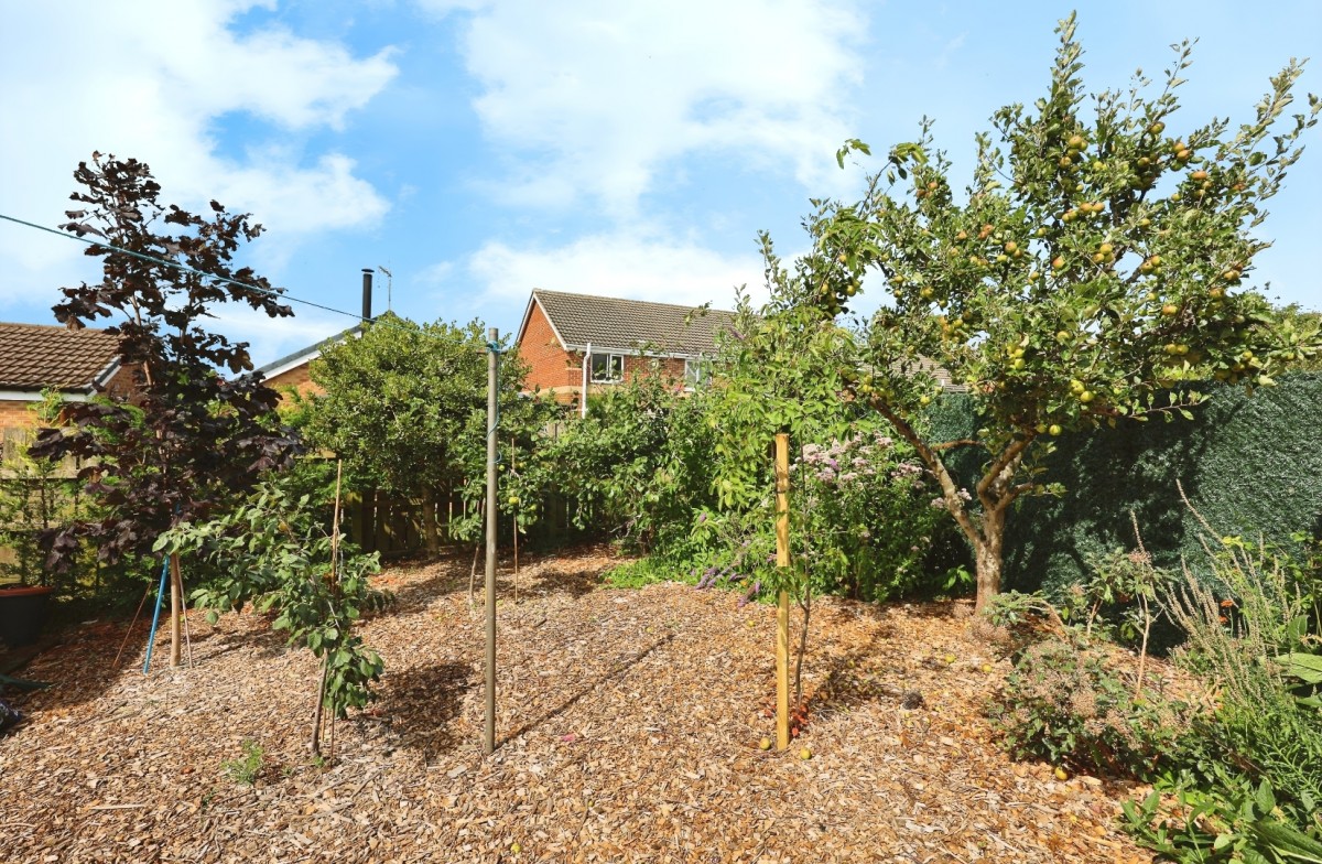 Hambleton Road, Coundon