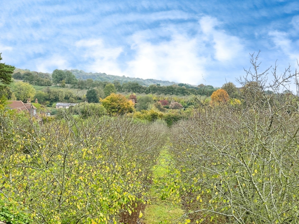Pilgrims Way, Boughton Lees, Ashford