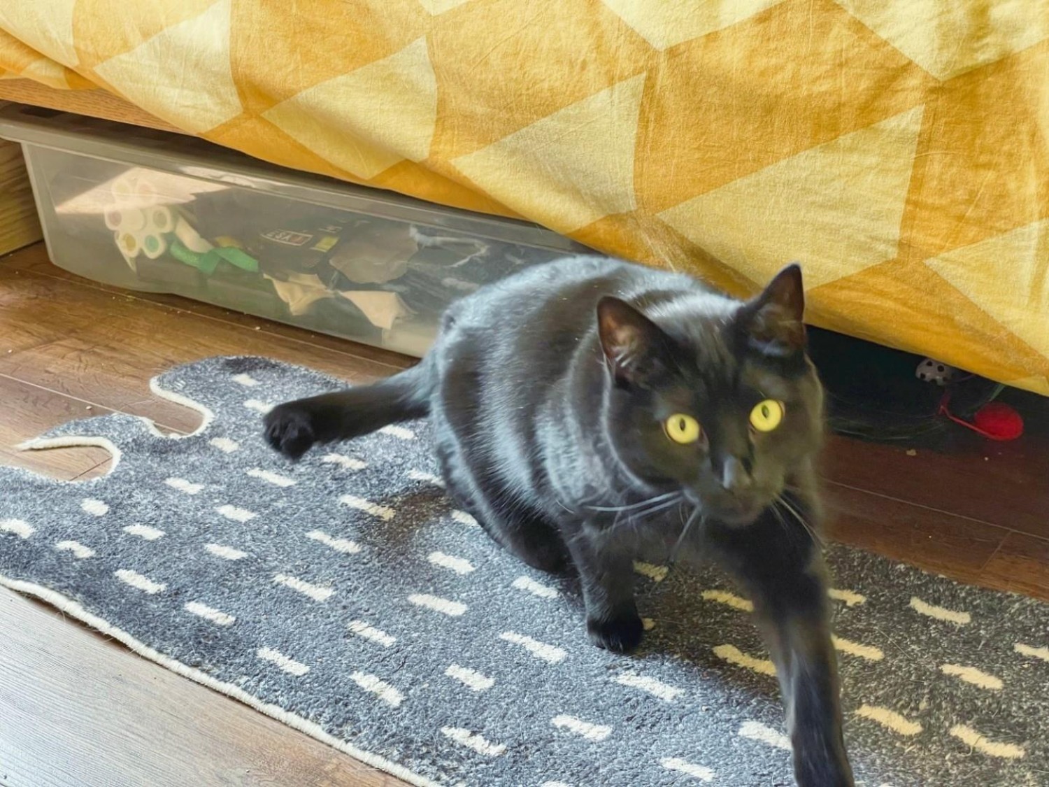 Paul Callan Drive, Ellesmere Port