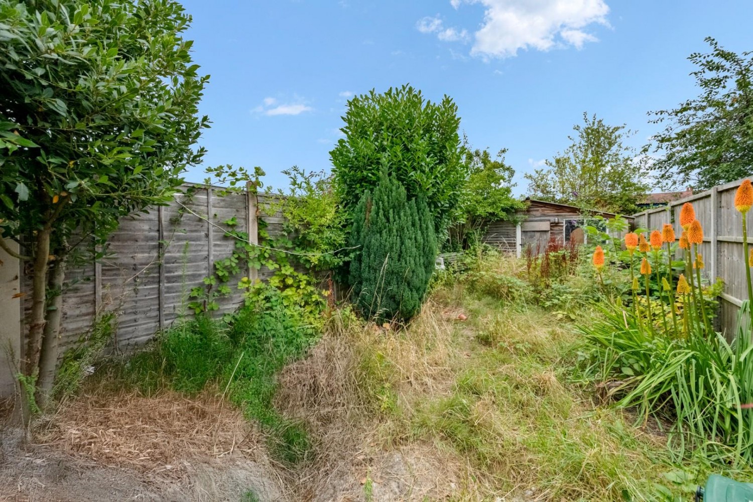 Woodrow Avenue, Hayes