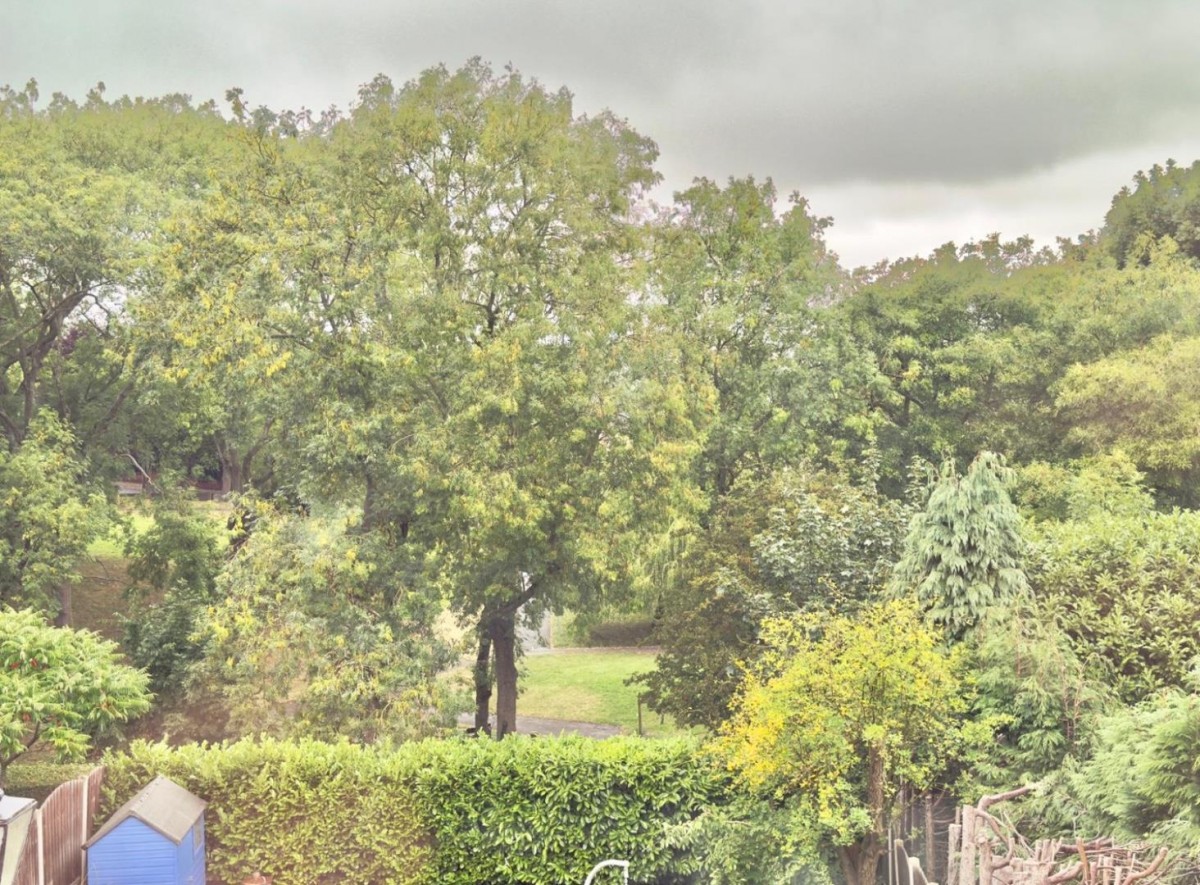 Woodstock Road, Barnsley