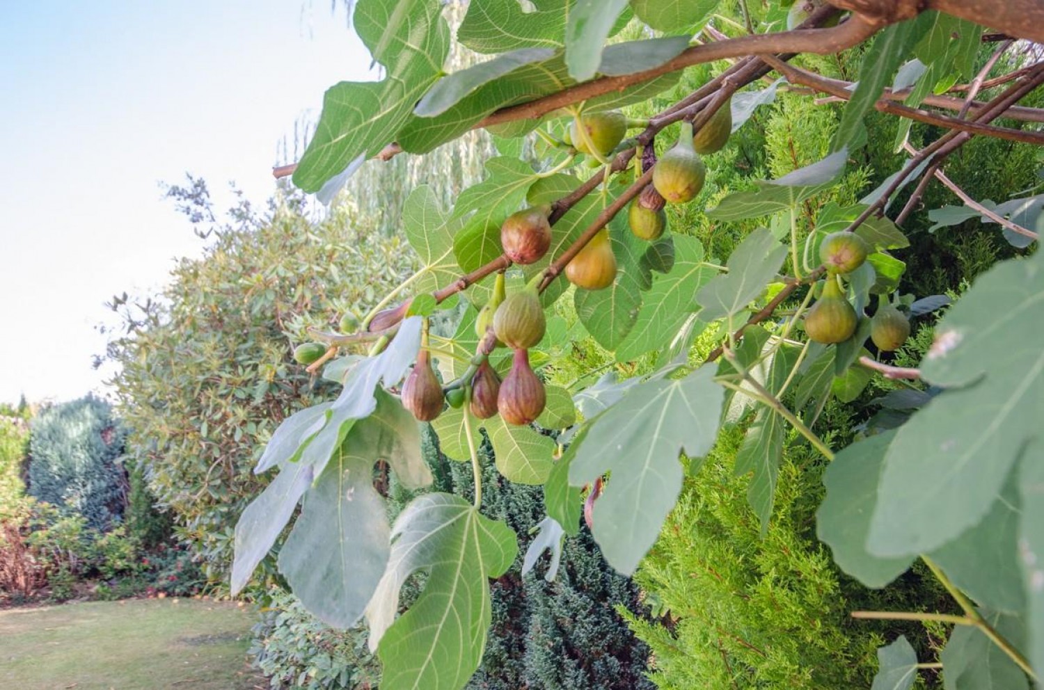 Penn Drive, Frenchay, Bristol, BS16 1NN