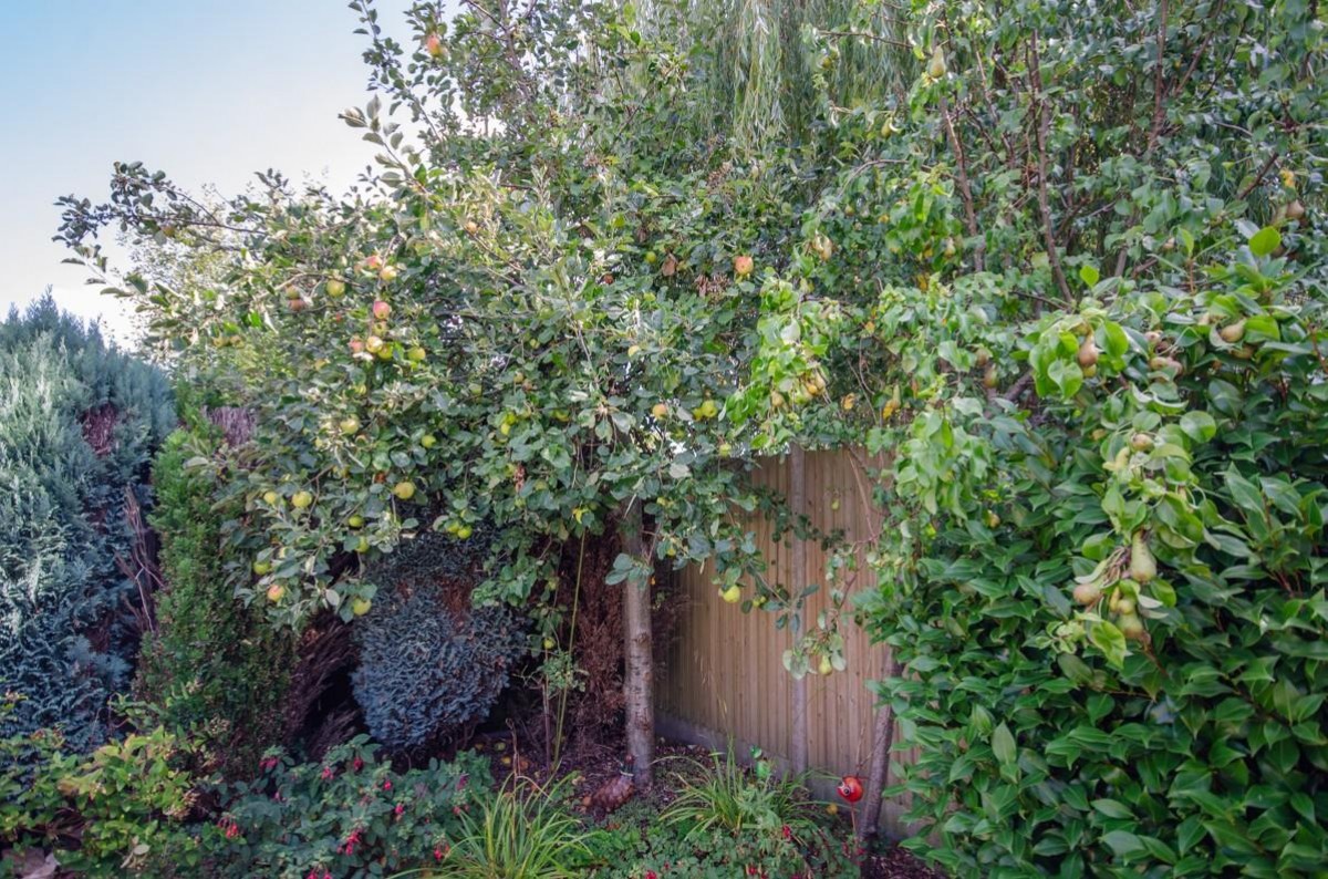 Penn Drive, Frenchay, Bristol, BS16 1NN