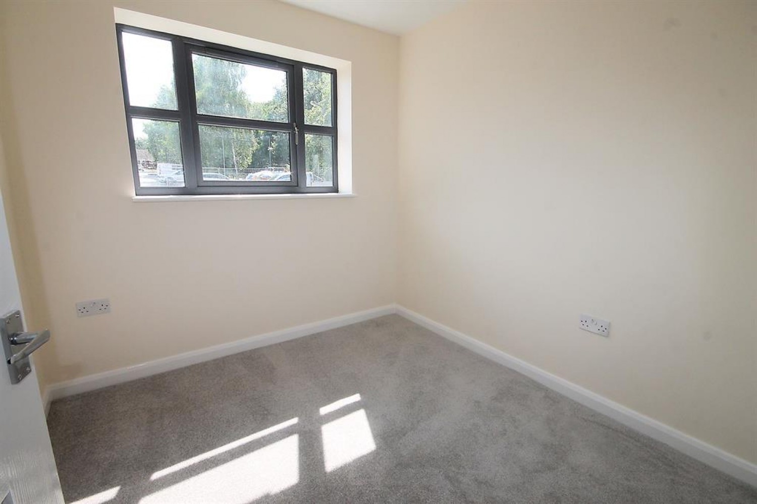 Robinia, Tamworth, Staffordshire