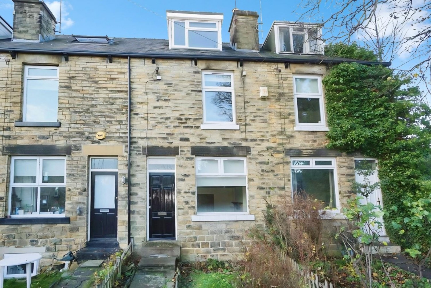 Ivy Grove, Crookesmoor, Sheffield