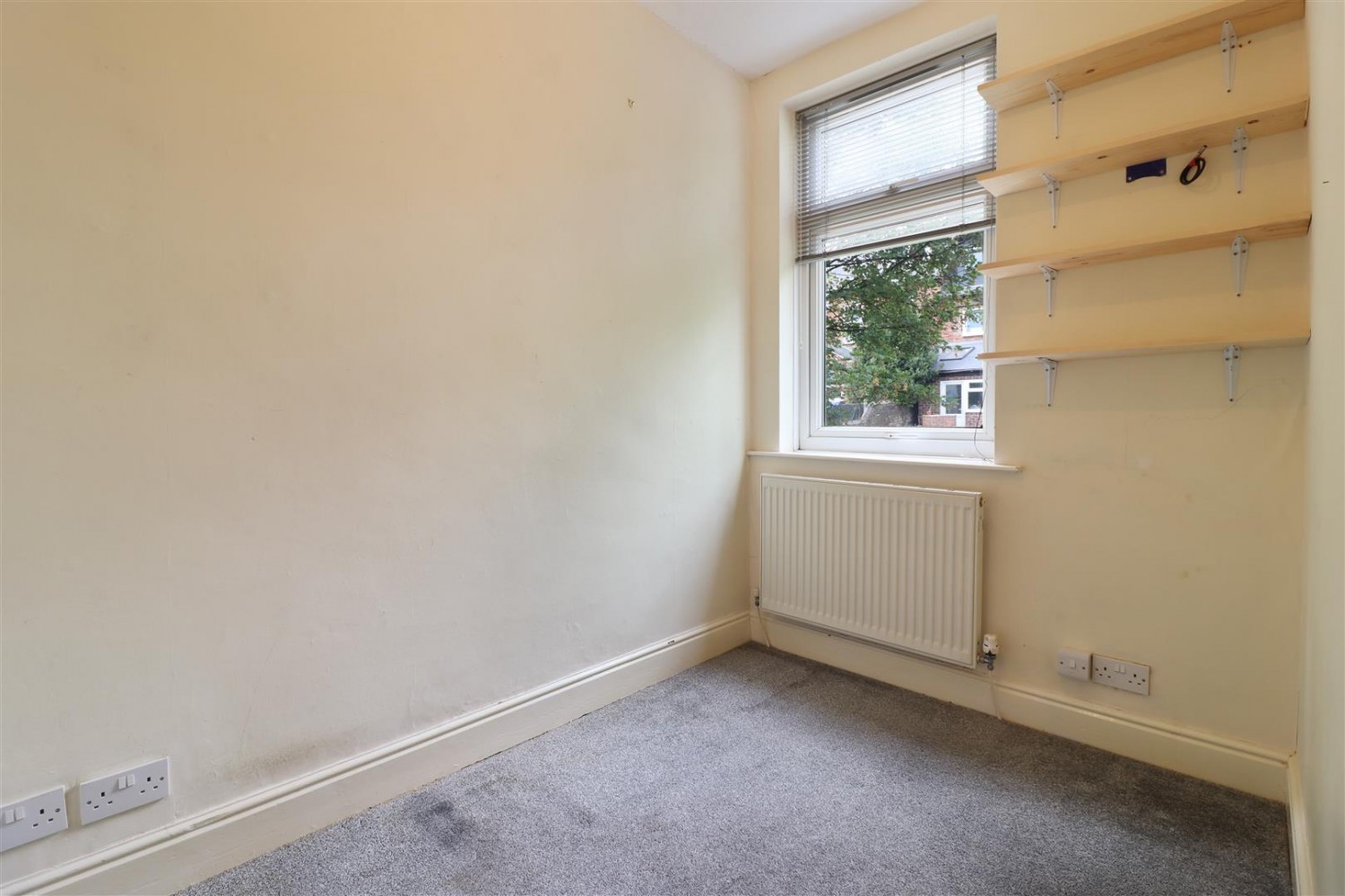 Ivy Grove, Crookesmoor, Sheffield