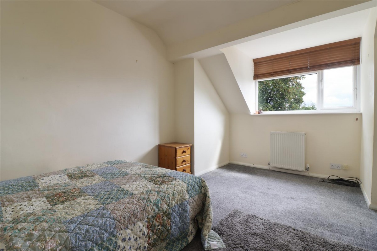 Ivy Grove, Crookesmoor, Sheffield